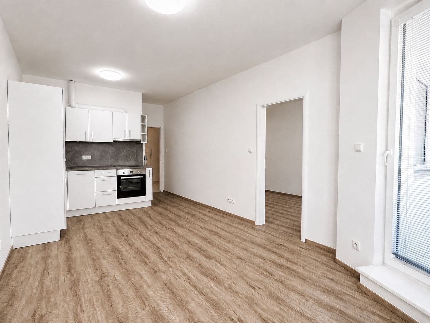 1 bedroom with open-plan kitchen flat to rent, 47 m², U Svobodárny, Prague, Prague 1 bedroom with open-plan kitchen flat to rent, 47 m², U Svobodárny, Prague, Prague