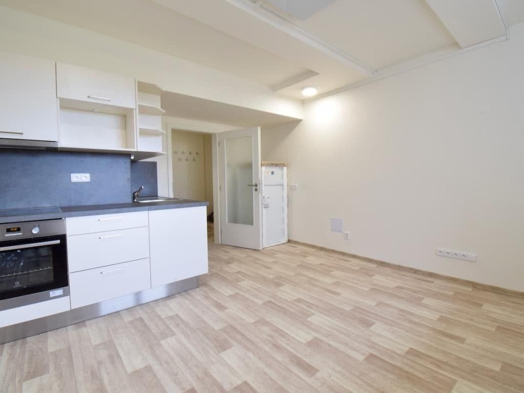 1 bedroom with open-plan kitchen flat to rent, 47 m², Skorkovského, Brno, Jihomoravský Region 1 bedroom with open-plan kitchen flat to rent, 47 m², Skorkovského, Brno, Jihomoravský Region