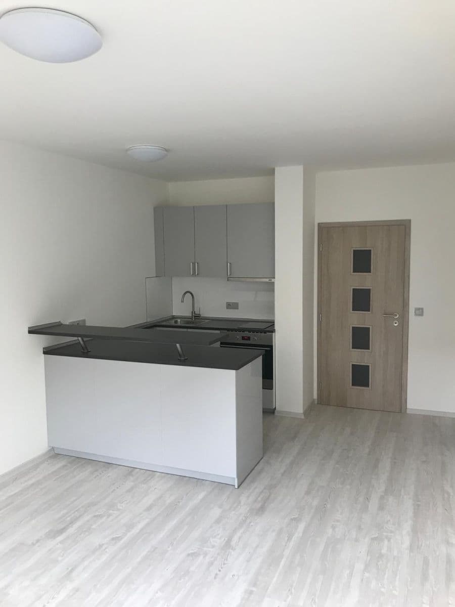 Studio flat to rent, 31 m², Voskovcova, Prague, Prague Studio flat to rent, 31 m², Voskovcova, Prague, Prague