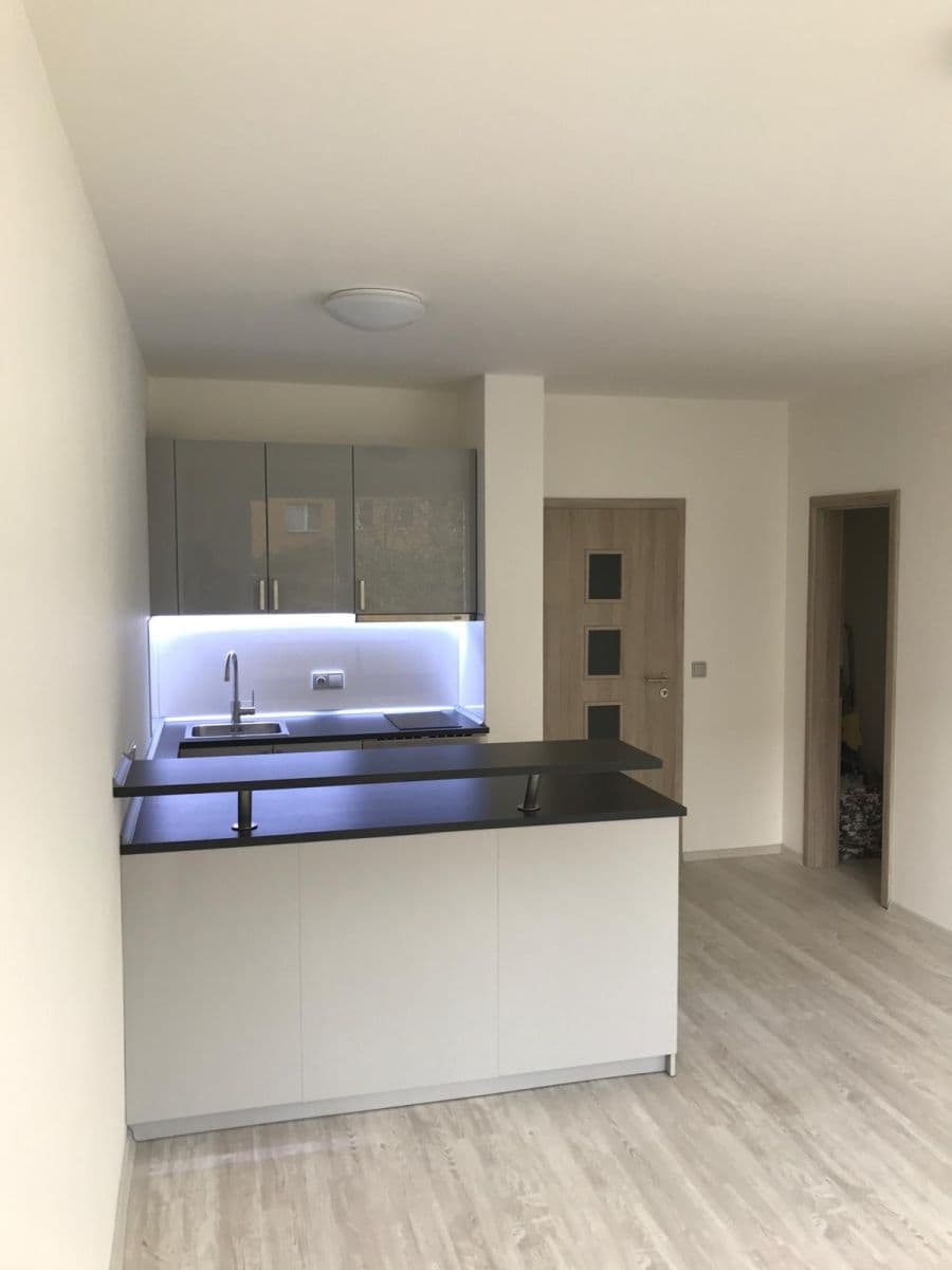 Studio flat to rent, 31 m², Voskovcova, Prague, Prague Studio flat to rent, 31 m², Voskovcova, Prague, Prague
