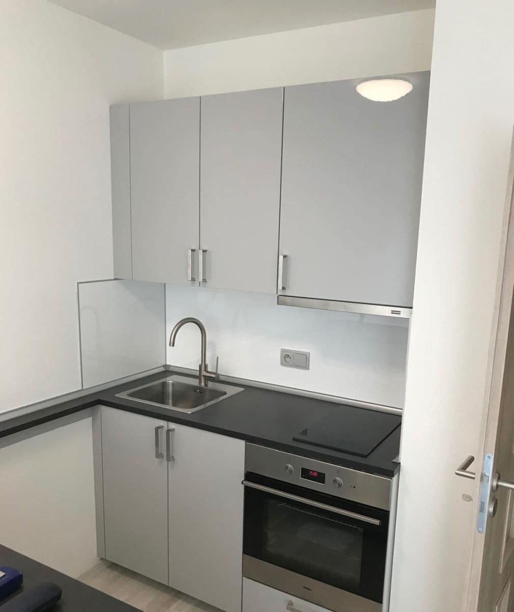 Studio flat to rent, 31 m², Voskovcova, Prague, Prague Studio flat to rent, 31 m², Voskovcova, Prague, Prague