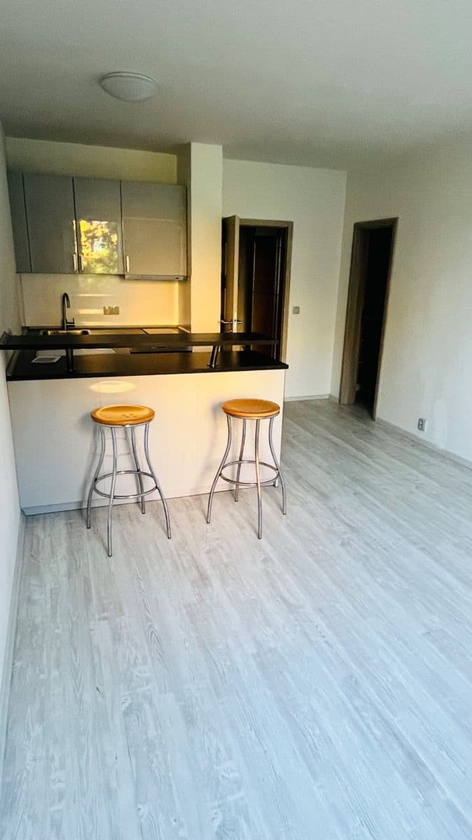Studio flat to rent, 31 m², Voskovcova, Prague, Prague Studio flat to rent, 31 m², Voskovcova, Prague, Prague