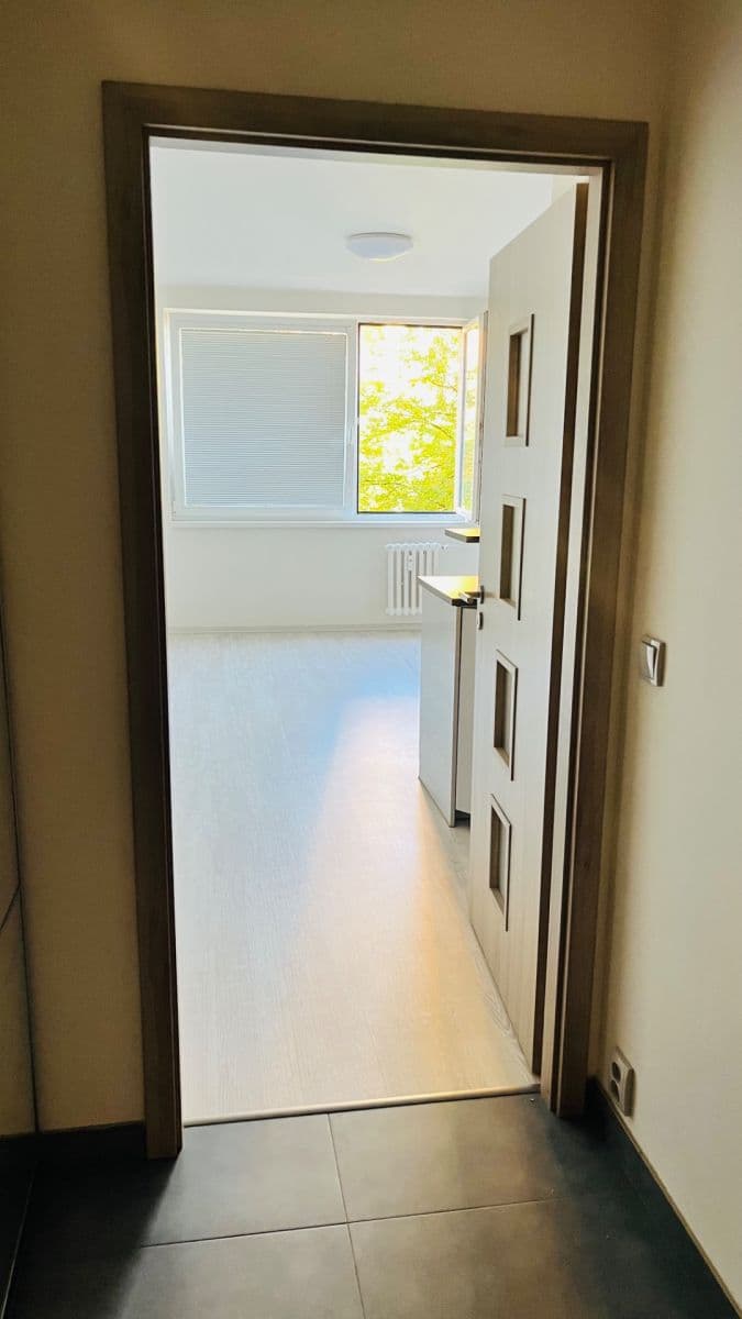 Studio flat to rent, 31 m², Voskovcova, Prague, Prague Studio flat to rent, 31 m², Voskovcova, Prague, Prague