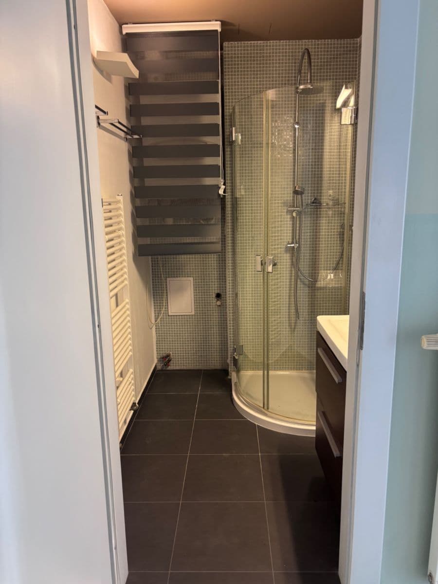 1 bedroom with open-plan kitchen flat to rent, 52 m², Domažlická, Prague, Prague 1 bedroom with open-plan kitchen flat to rent, 52 m², Domažlická, Prague, Prague