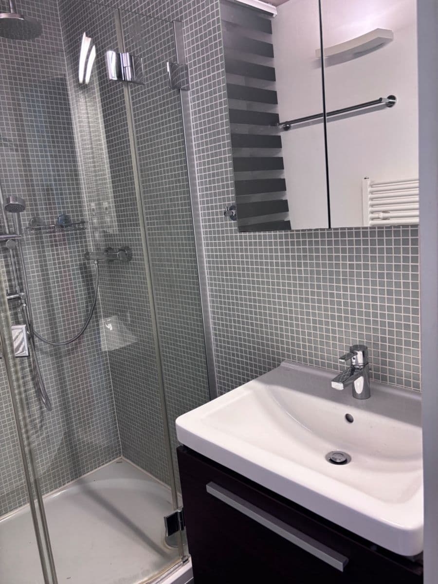 1 bedroom with open-plan kitchen flat to rent, 52 m², Domažlická, Prague, Prague 1 bedroom with open-plan kitchen flat to rent, 52 m², Domažlická, Prague, Prague