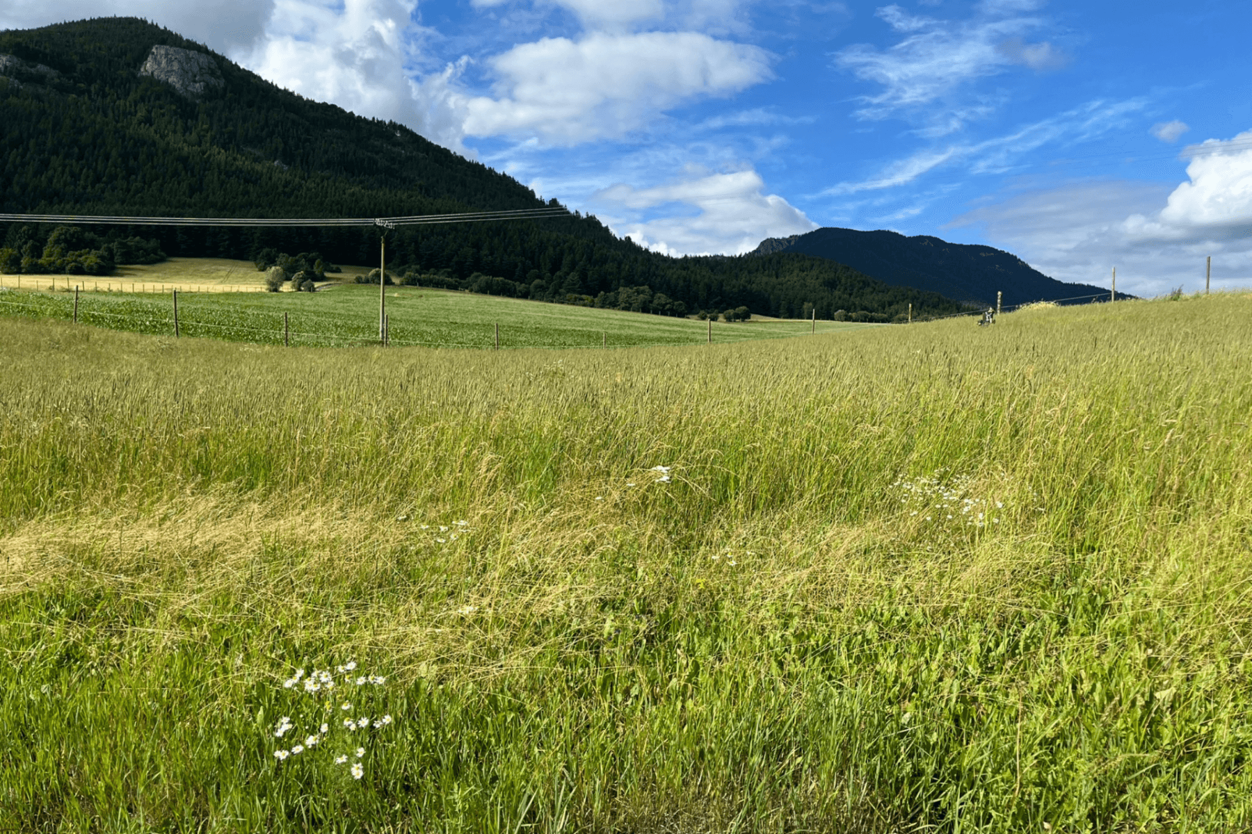plot for sale, 1,821 m², Liptovská Anna, Žilinský Region plot for sale, 1,821 m², Liptovská Anna, Žilinský Region