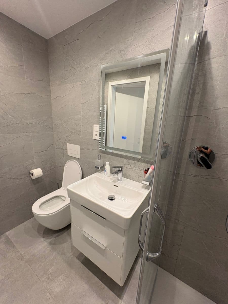 1 bedroom with open-plan kitchen flat to rent, 49 m², Kárníkova, Prague, Prague 1 bedroom with open-plan kitchen flat to rent, 49 m², Kárníkova, Prague, Prague