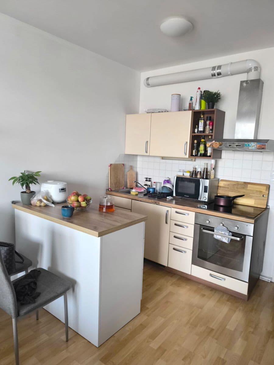 Studio flat to rent, 39 m², Podkovářská, Prague, Prague Studio flat to rent, 39 m², Podkovářská, Prague, Prague