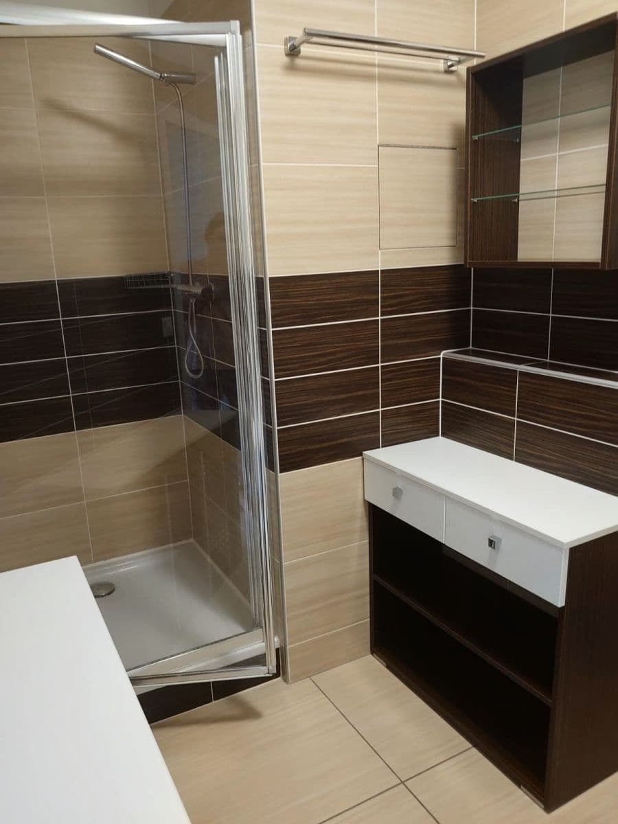 1 bedroom with open-plan kitchen flat to rent, 50 m², Magistrů, Prague, Prague 1 bedroom with open-plan kitchen flat to rent, 50 m², Magistrů, Prague, Prague