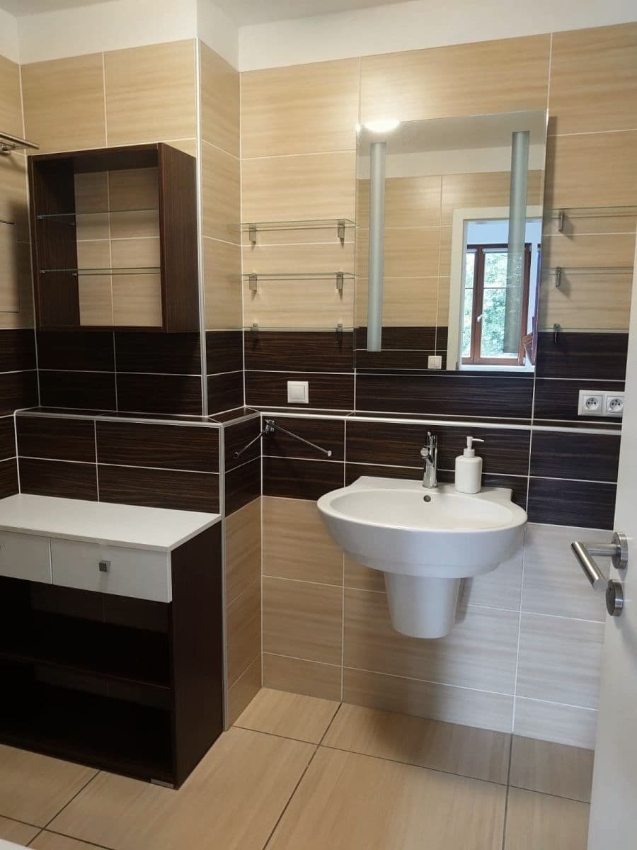 1 bedroom with open-plan kitchen flat to rent, 50 m², Magistrů, Prague, Prague 1 bedroom with open-plan kitchen flat to rent, 50 m², Magistrů, Prague, Prague