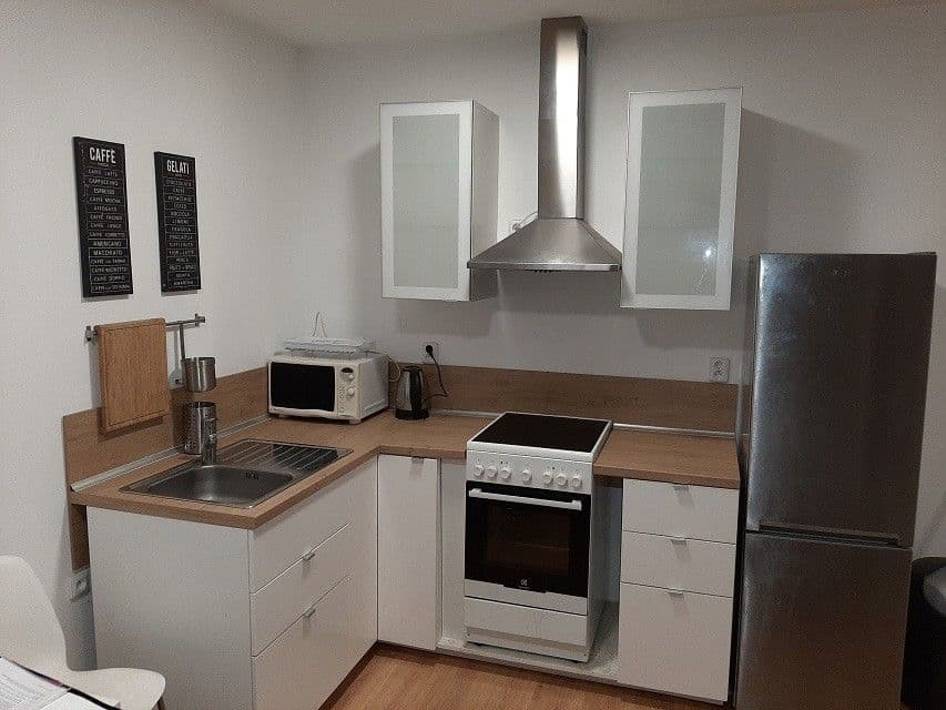 1 bedroom with open-plan kitchen flat to rent, 54 m², Kollárova, Brno, Jihomoravský Region 1 bedroom with open-plan kitchen flat to rent, 54 m², Kollárova, Brno, Jihomoravský Region