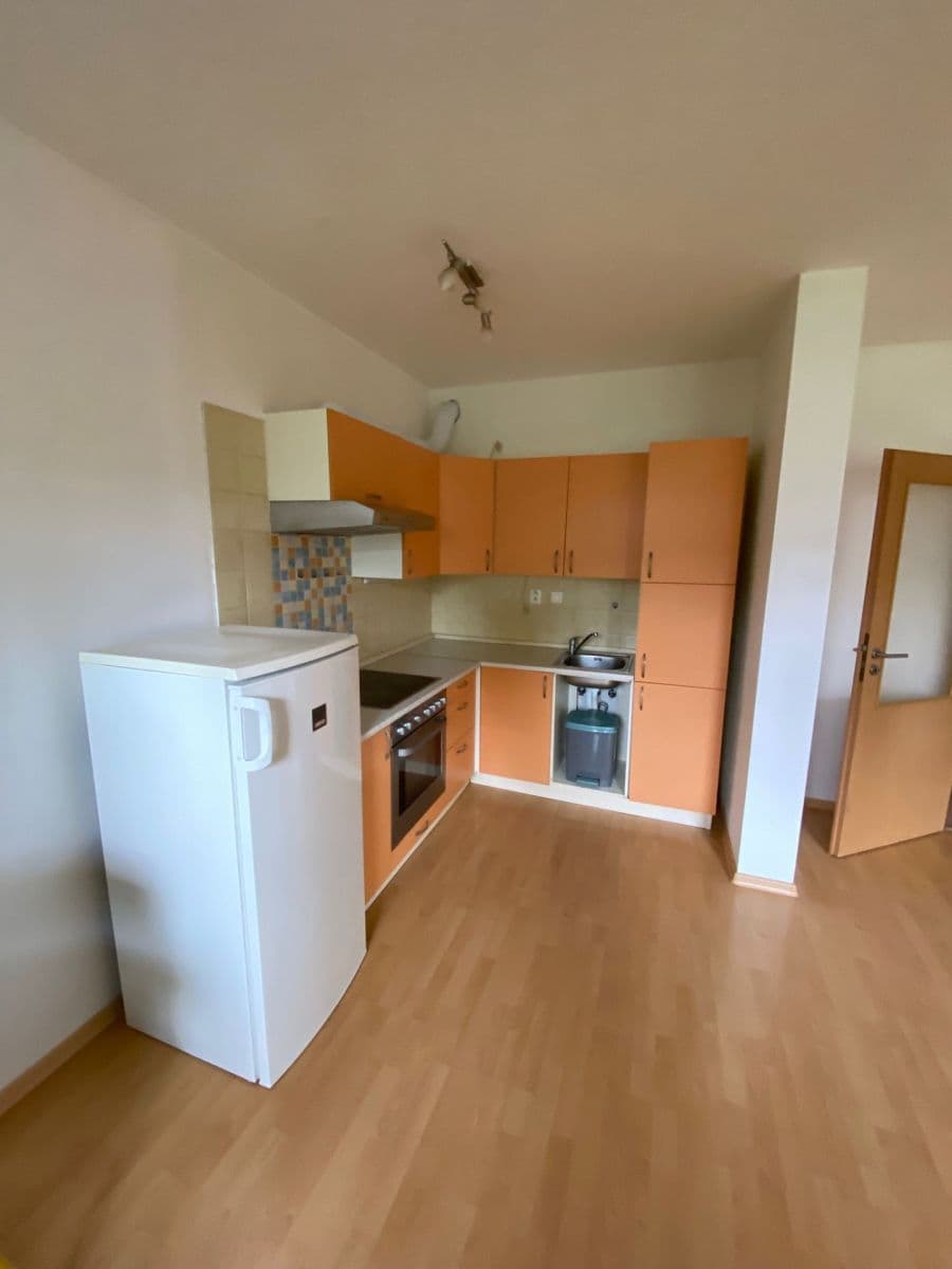 1 bedroom with open-plan kitchen flat to rent, 48 m², Boloňská, Prague, Prague 1 bedroom with open-plan kitchen flat to rent, 48 m², Boloňská, Prague, Prague
