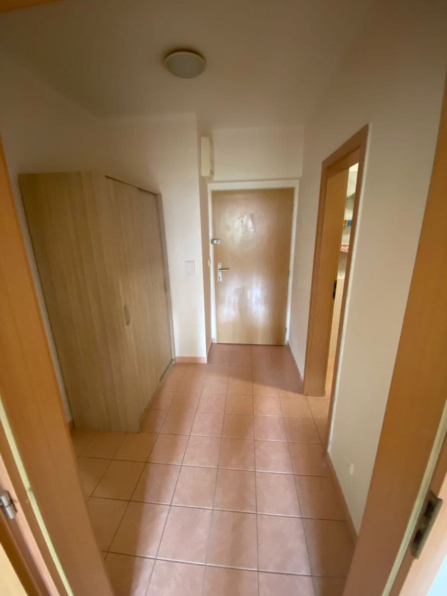 1 bedroom with open-plan kitchen flat to rent, 48 m², Boloňská, Prague, Prague 1 bedroom with open-plan kitchen flat to rent, 48 m², Boloňská, Prague, Prague