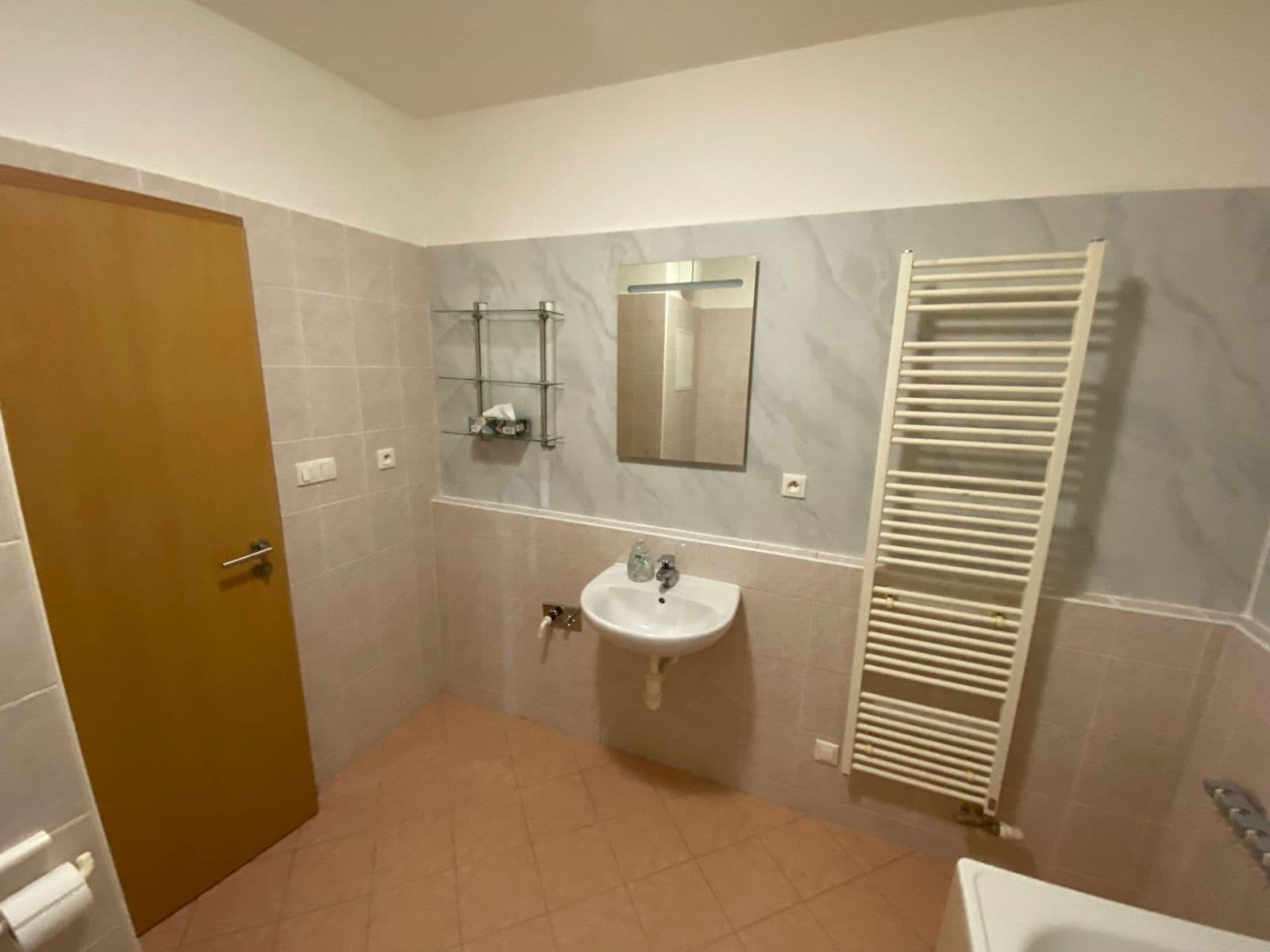 1 bedroom with open-plan kitchen flat to rent, 48 m², Boloňská, Prague, Prague 1 bedroom with open-plan kitchen flat to rent, 48 m², Boloňská, Prague, Prague