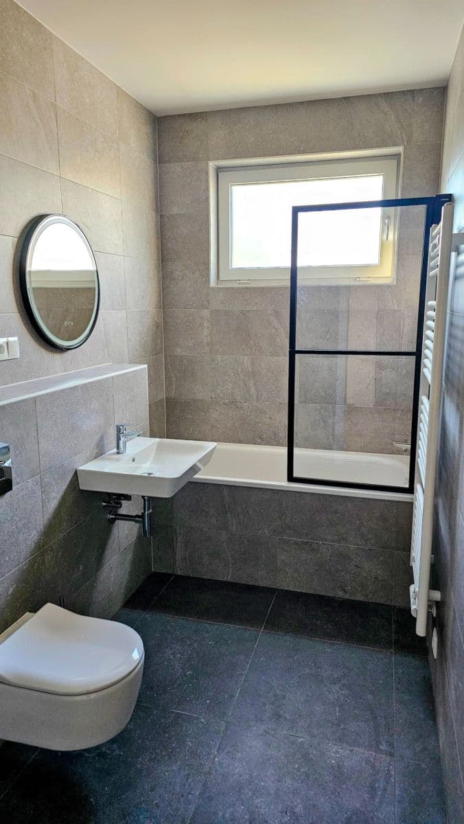 1 bedroom with open-plan kitchen flat to rent, 53 m², Divíškové, Prague, Prague 1 bedroom with open-plan kitchen flat to rent, 53 m², Divíškové, Prague, Prague