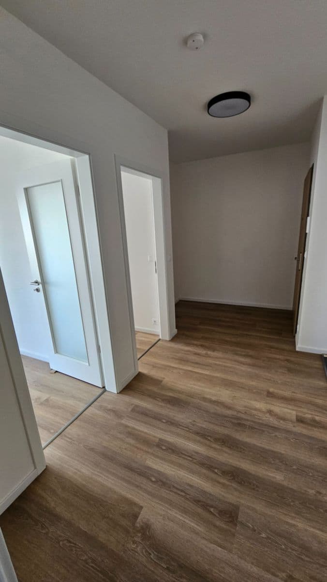 1 bedroom with open-plan kitchen flat to rent, 53 m², Divíškové, Prague, Prague 1 bedroom with open-plan kitchen flat to rent, 53 m², Divíškové, Prague, Prague