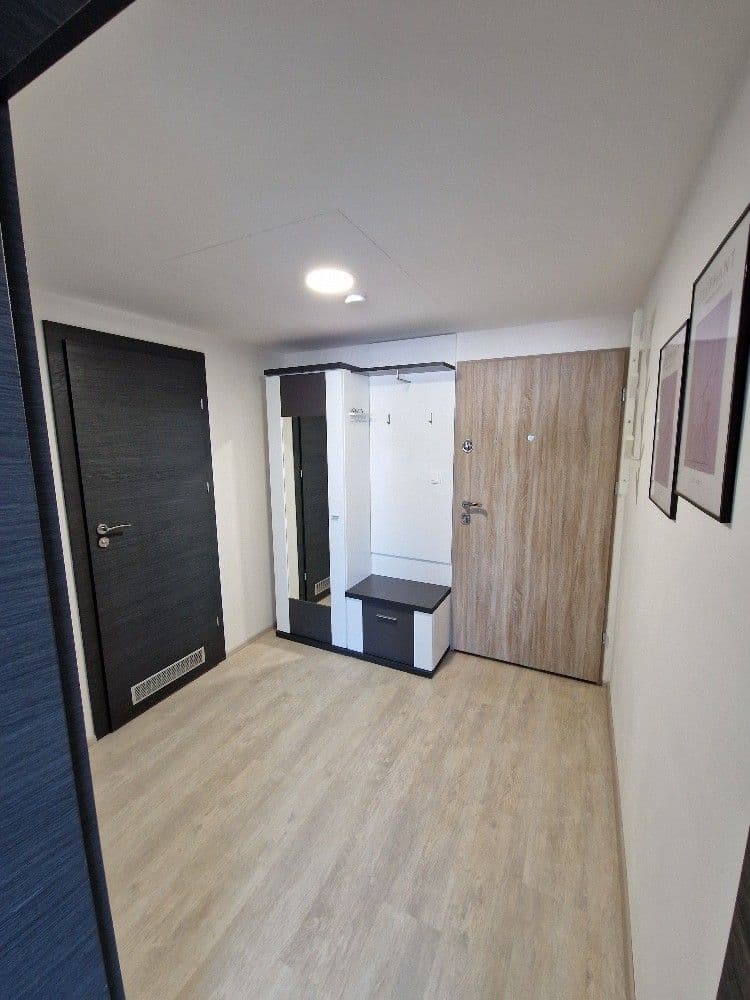 1 bedroom with open-plan kitchen flat to rent, 47 m², Selská, Brno, Jihomoravský Region 1 bedroom with open-plan kitchen flat to rent, 47 m², Selská, Brno, Jihomoravský Region