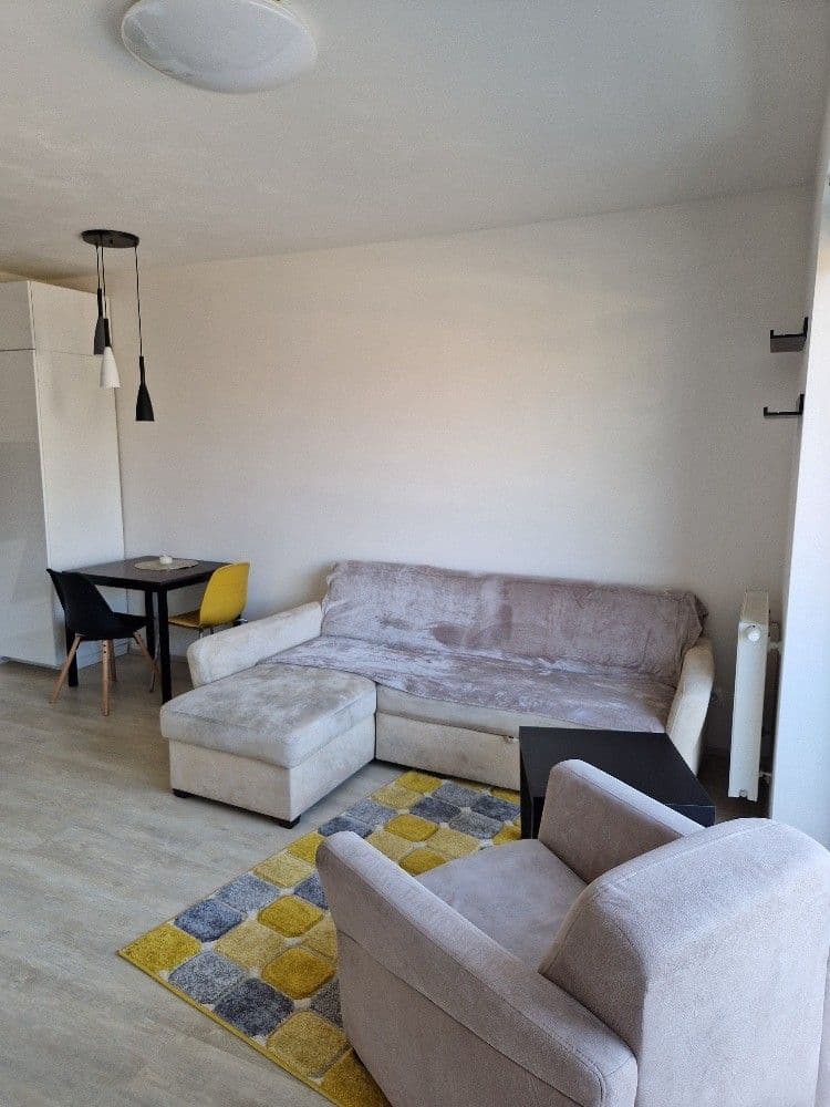 1 bedroom with open-plan kitchen flat to rent, 47 m², Selská, Brno, Jihomoravský Region 1 bedroom with open-plan kitchen flat to rent, 47 m², Selská, Brno, Jihomoravský Region