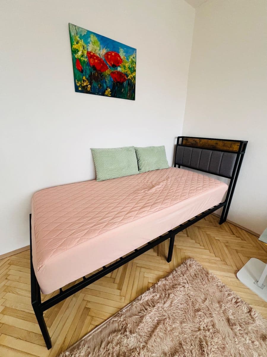 1 bedroom with open-plan kitchen flat to rent, 15 m², Ke Štvanici, Prague, Prague 1 bedroom with open-plan kitchen flat to rent, 15 m², Ke Štvanici, Prague, Prague