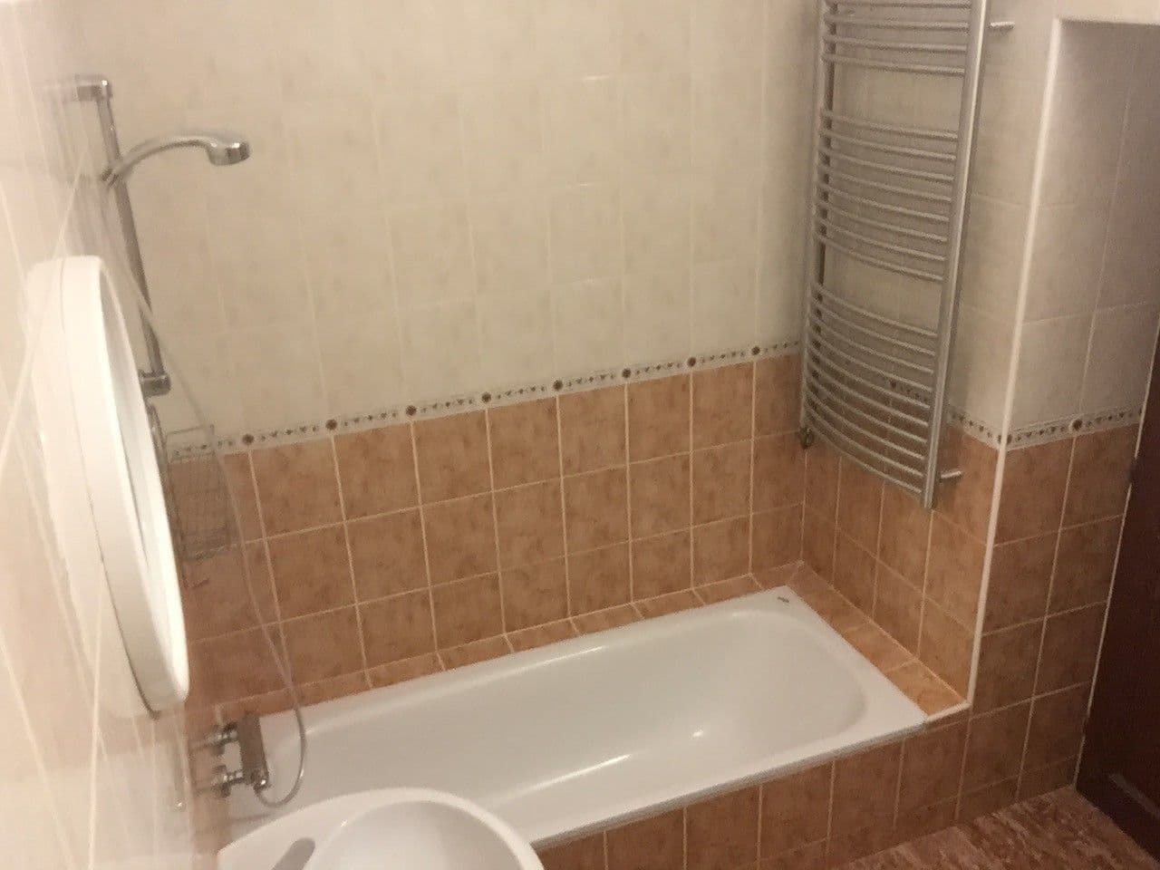 1 bedroom with open-plan kitchen flat to rent, 50 m², Šultysova, Prague, Prague 1 bedroom with open-plan kitchen flat to rent, 50 m², Šultysova, Prague, Prague