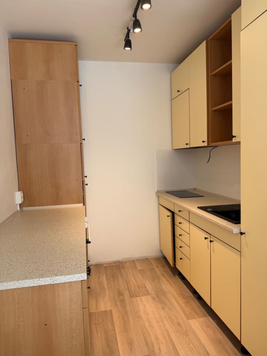 1 bedroom with open-plan kitchen flat to rent, 63 m², Hráského, Prague, Prague 1 bedroom with open-plan kitchen flat to rent, 63 m², Hráského, Prague, Prague