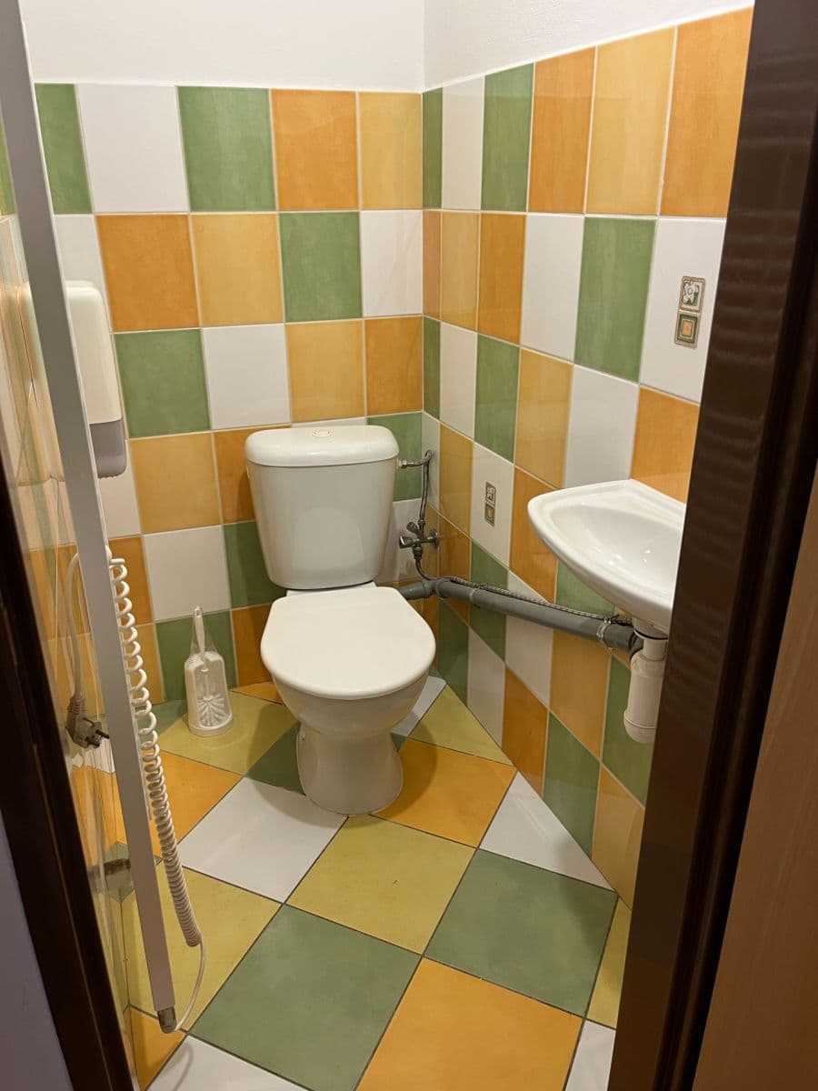 1 bedroom with open-plan kitchen flat to rent, 50 m², Legionářů, Prague, Prague 1 bedroom with open-plan kitchen flat to rent, 50 m², Legionářů, Prague, Prague