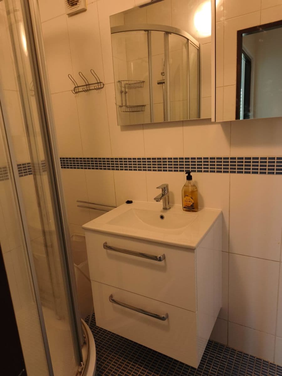 1 bedroom with open-plan kitchen flat to rent, 42 m², Novodvorská, Prague, Prague 1 bedroom with open-plan kitchen flat to rent, 42 m², Novodvorská, Prague, Prague