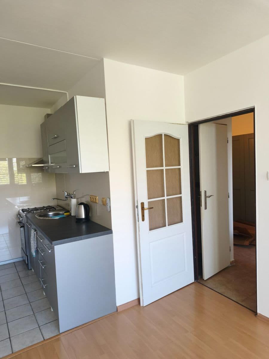1 bedroom with open-plan kitchen flat to rent, 42 m², Novodvorská, Prague, Prague 1 bedroom with open-plan kitchen flat to rent, 42 m², Novodvorská, Prague, Prague