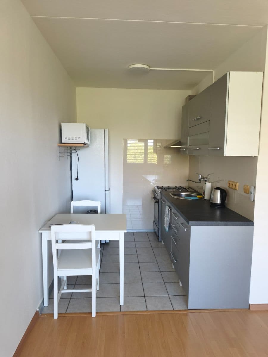 1 bedroom with open-plan kitchen flat to rent, 42 m², Novodvorská, Prague, Prague 1 bedroom with open-plan kitchen flat to rent, 42 m², Novodvorská, Prague, Prague