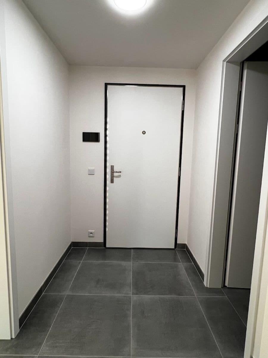 1 bedroom with open-plan kitchen flat to rent, 45 m², Hodkovická, Prague, Prague 1 bedroom with open-plan kitchen flat to rent, 45 m², Hodkovická, Prague, Prague