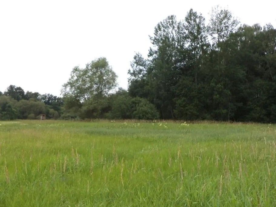 plot for sale, 5,581 m², Česká Lípa, Liberecký Region plot for sale, 5,581 m², Česká Lípa, Liberecký Region