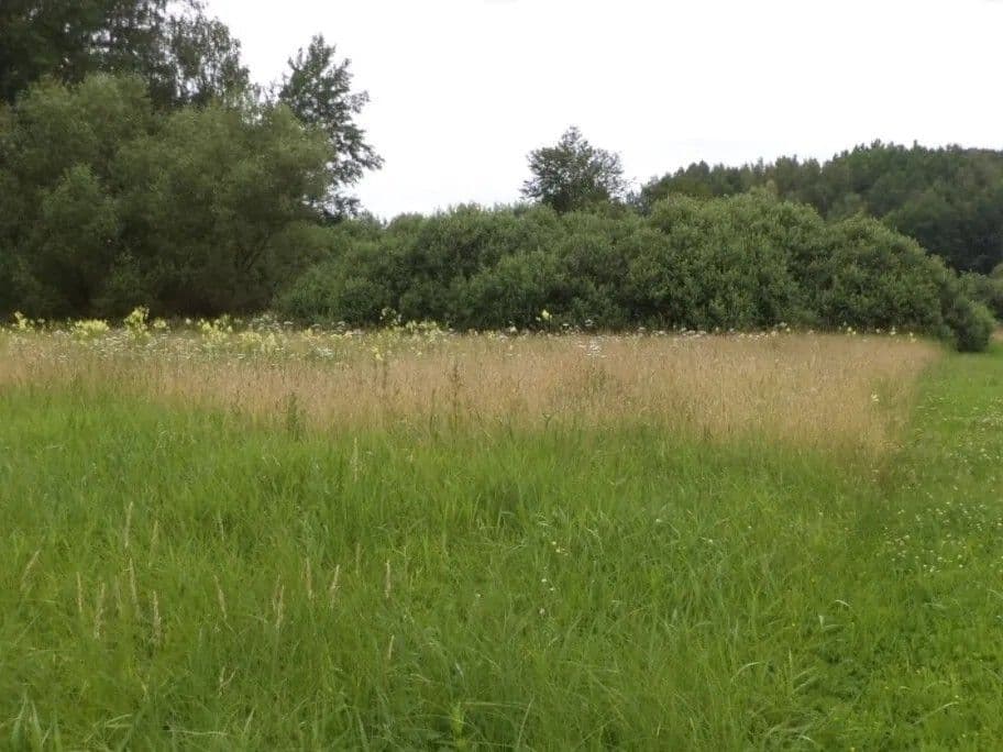 plot for sale, 5,581 m², Česká Lípa, Liberecký Region plot for sale, 5,581 m², Česká Lípa, Liberecký Region