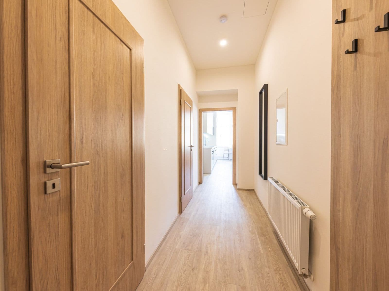 1 bedroom with open-plan kitchen flat to rent, 49 m², Svatoslavova, Prague, Prague 1 bedroom with open-plan kitchen flat to rent, 49 m², Svatoslavova, Prague, Prague