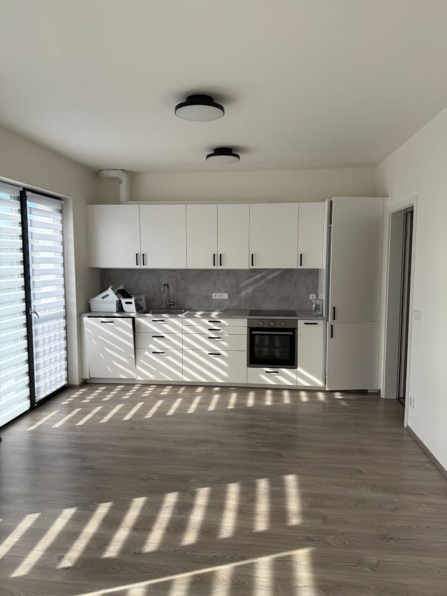 1 bedroom with open-plan kitchen flat to rent, 56 m², Slaný, Středočeský Region 1 bedroom with open-plan kitchen flat to rent, 56 m², Slaný, Středočeský Region