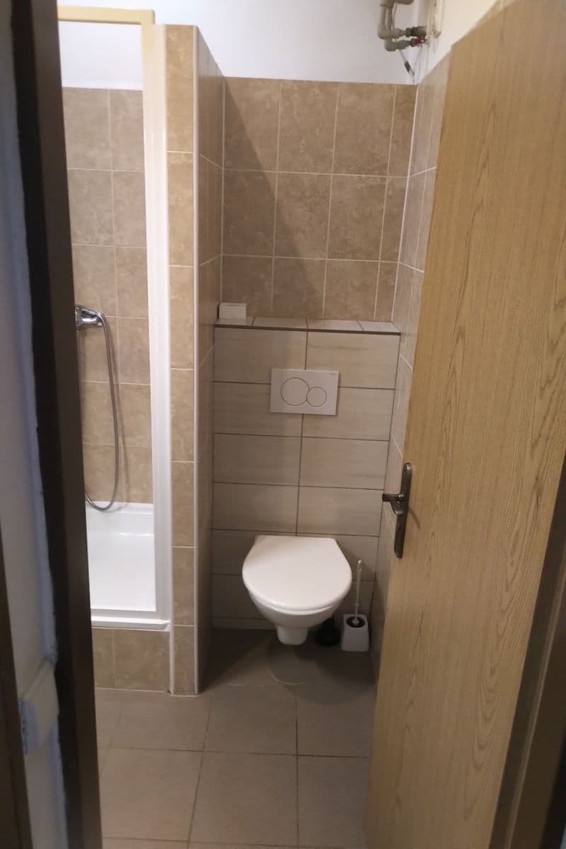 1 bedroom with open-plan kitchen flat to rent, 40 m², Chelčického, Prague, Prague 1 bedroom with open-plan kitchen flat to rent, 40 m², Chelčického, Prague, Prague