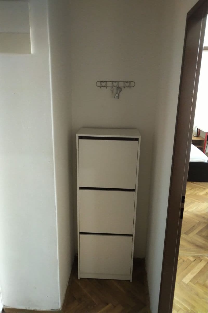 1 bedroom with open-plan kitchen flat to rent, 40 m², Chelčického, Prague, Prague 1 bedroom with open-plan kitchen flat to rent, 40 m², Chelčického, Prague, Prague