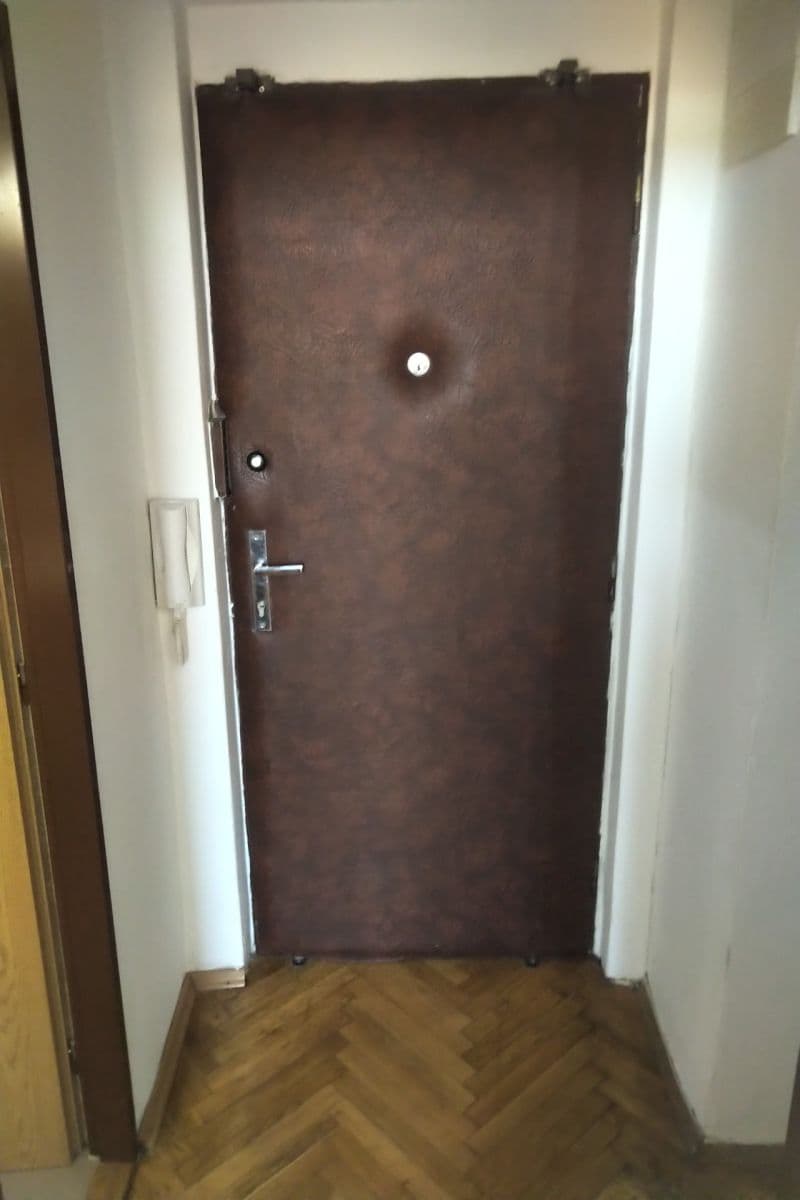 1 bedroom with open-plan kitchen flat to rent, 40 m², Chelčického, Prague, Prague 1 bedroom with open-plan kitchen flat to rent, 40 m², Chelčického, Prague, Prague