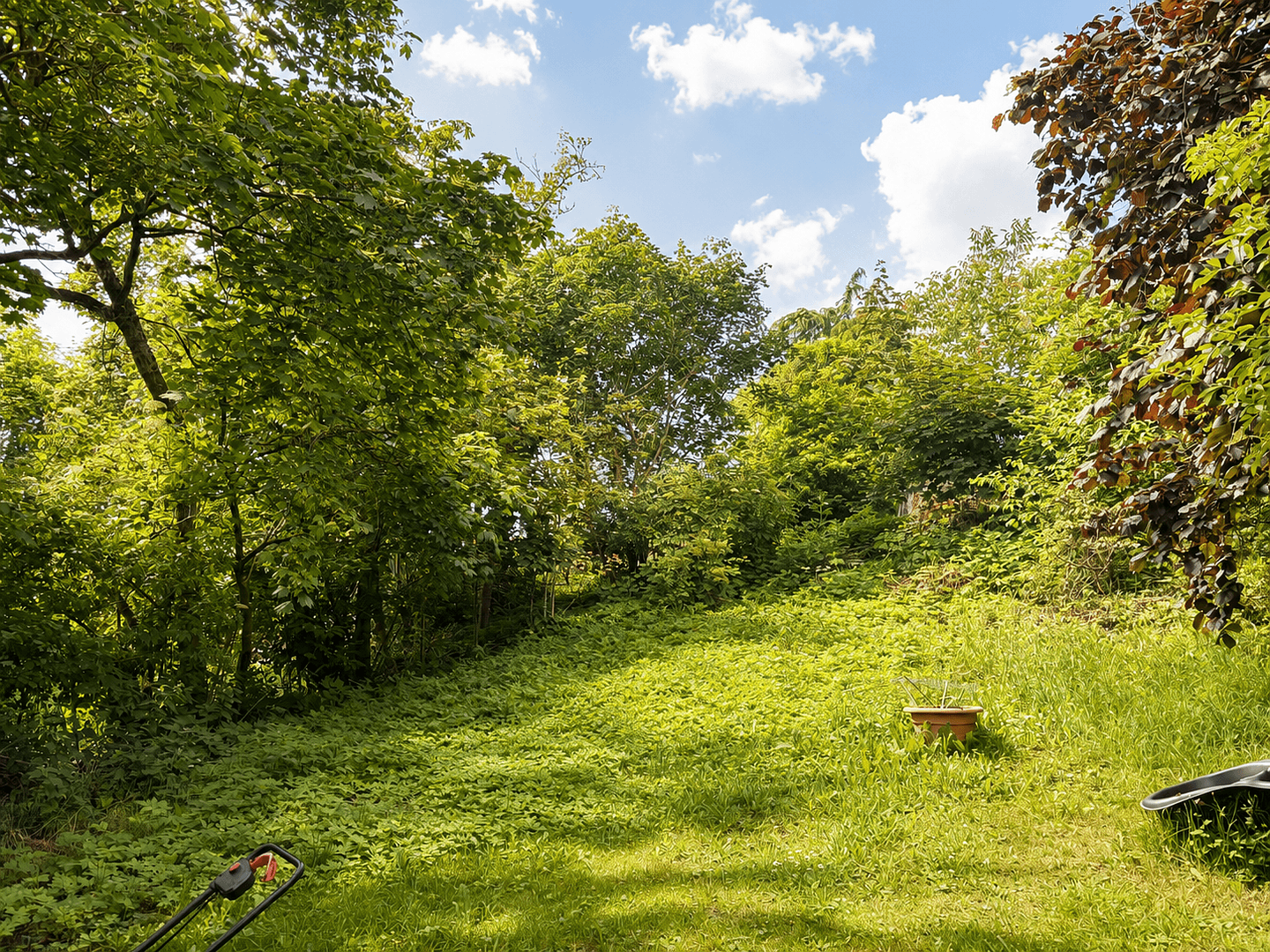house for sale, 483 m², Lamspringe, Lower Saxony house for sale, 483 m², Lamspringe, Lower Saxony