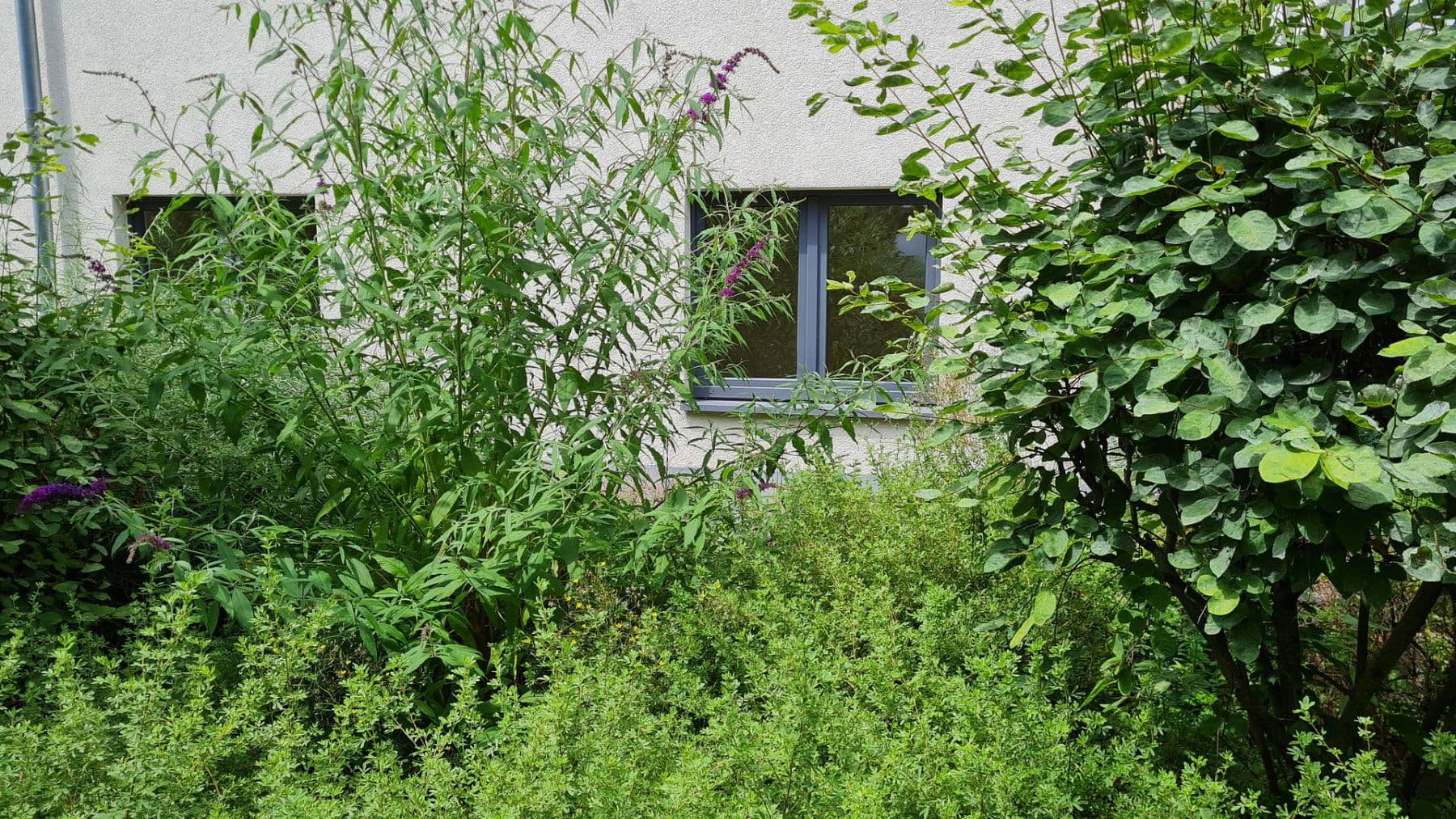 2 bedroom with open-plan kitchen flat to rent, 62 m², Frankfurt am Main, Hesse 2 bedroom with open-plan kitchen flat to rent, 62 m², Frankfurt am Main, Hesse