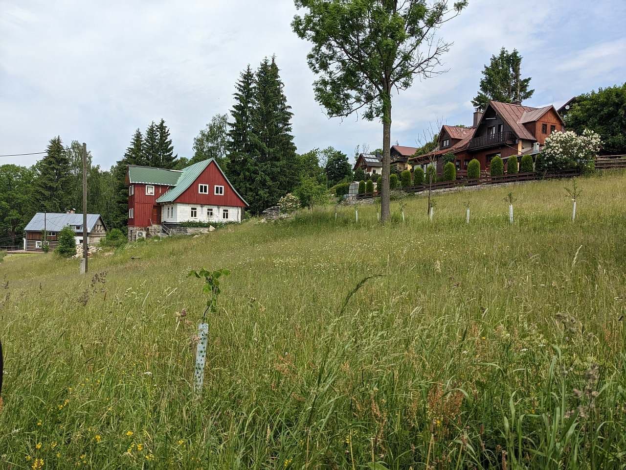 recreational property to rent, 0 m², Kořenov, Liberecký Region recreational property to rent, 0 m², Kořenov, Liberecký Region