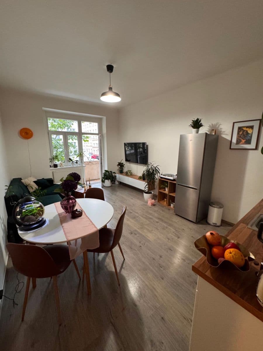 1 bedroom with open-plan kitchen flat to rent, 56 m², Hartigova, Prague, Prague 1 bedroom with open-plan kitchen flat to rent, 56 m², Hartigova, Prague, Prague