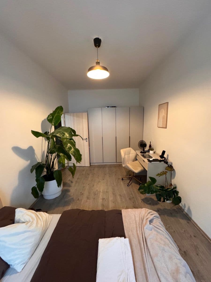 1 bedroom with open-plan kitchen flat to rent, 56 m², Hartigova, Prague, Prague 1 bedroom with open-plan kitchen flat to rent, 56 m², Hartigova, Prague, Prague