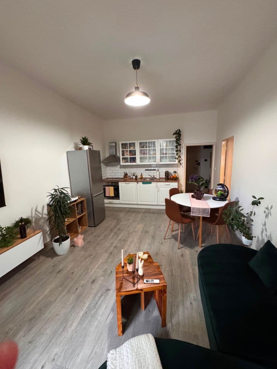 1 bedroom with open-plan kitchen flat to rent, 56 m², Hartigova, Prague, Prague 1 bedroom with open-plan kitchen flat to rent, 56 m², Hartigova, Prague, Prague