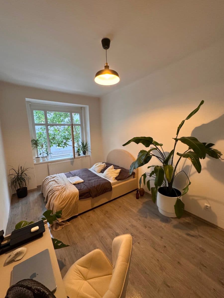 1 bedroom with open-plan kitchen flat to rent, 56 m², Hartigova, Prague, Prague 1 bedroom with open-plan kitchen flat to rent, 56 m², Hartigova, Prague, Prague