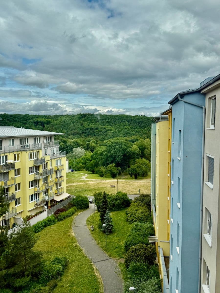 2 bedroom with open-plan kitchen flat for sale, 83 m², Za Valem, Prague, Prague 2 bedroom with open-plan kitchen flat for sale, 83 m², Za Valem, Prague, Prague