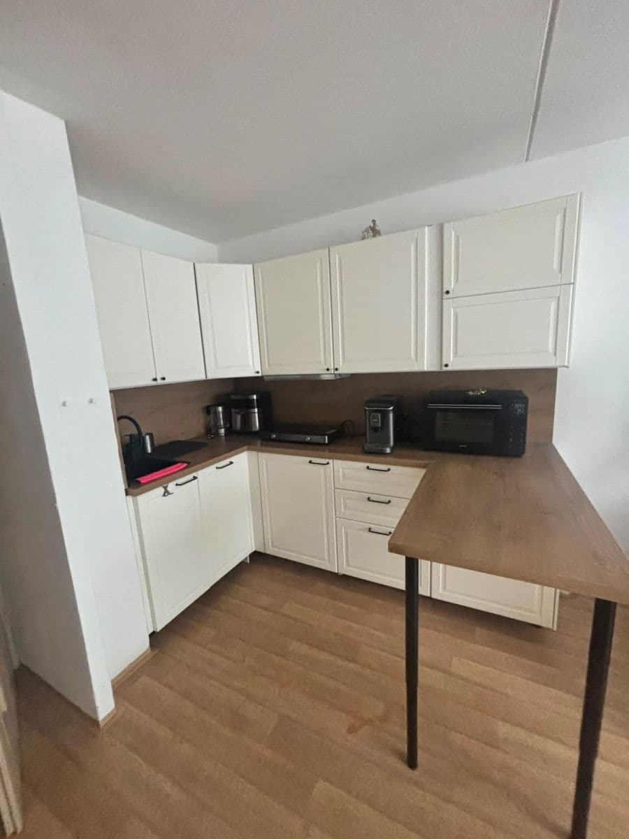 1 bedroom with open-plan kitchen flat to rent, 42 m², Rochovská, Prague, Prague 1 bedroom with open-plan kitchen flat to rent, 42 m², Rochovská, Prague, Prague