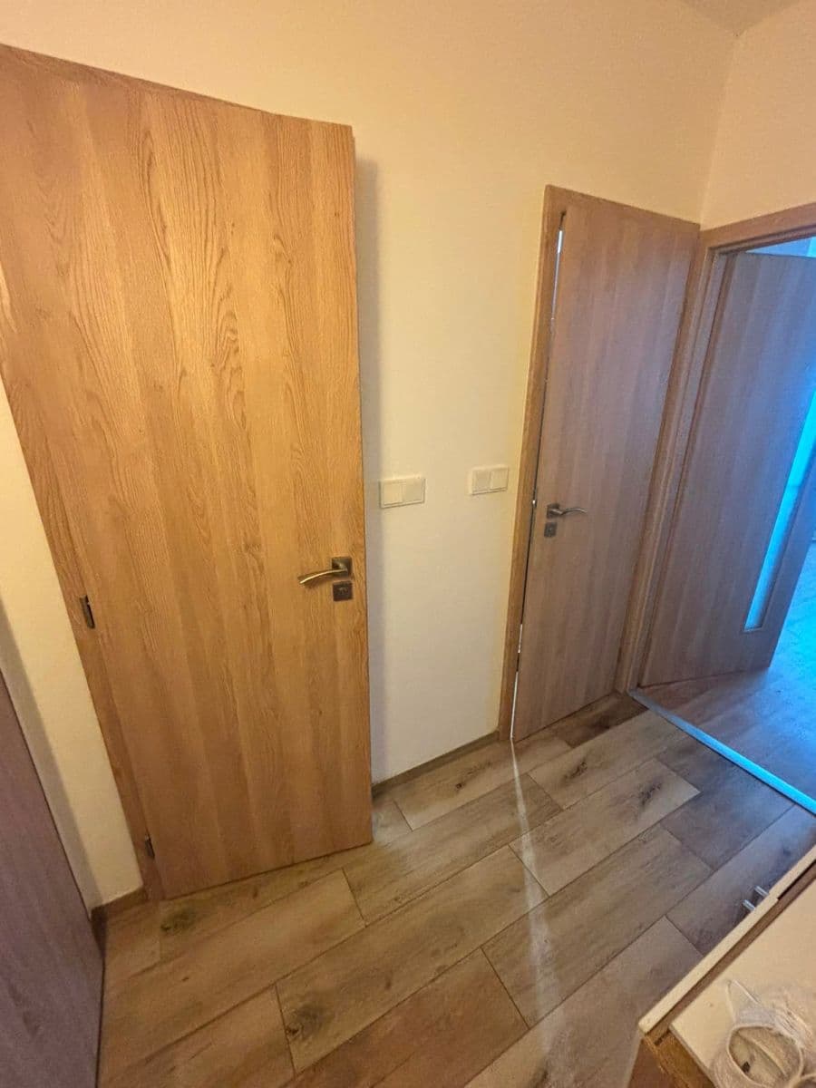 1 bedroom with open-plan kitchen flat to rent, 42 m², Rochovská, Prague, Prague 1 bedroom with open-plan kitchen flat to rent, 42 m², Rochovská, Prague, Prague