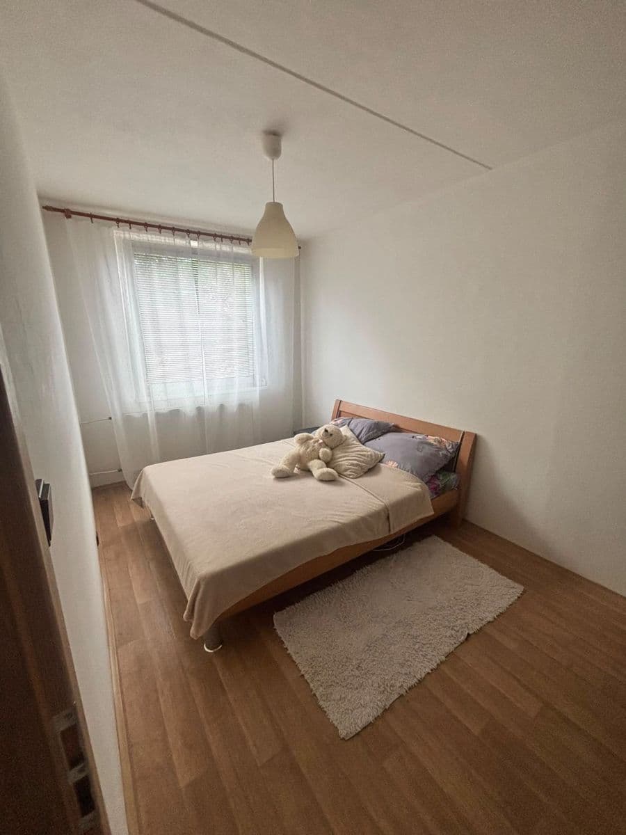 1 bedroom with open-plan kitchen flat to rent, 42 m², Rochovská, Prague, Prague 1 bedroom with open-plan kitchen flat to rent, 42 m², Rochovská, Prague, Prague