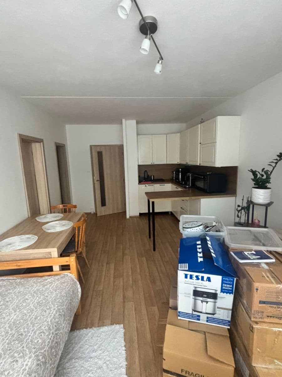 1 bedroom with open-plan kitchen flat to rent, 42 m², Rochovská, Prague, Prague 1 bedroom with open-plan kitchen flat to rent, 42 m², Rochovská, Prague, Prague