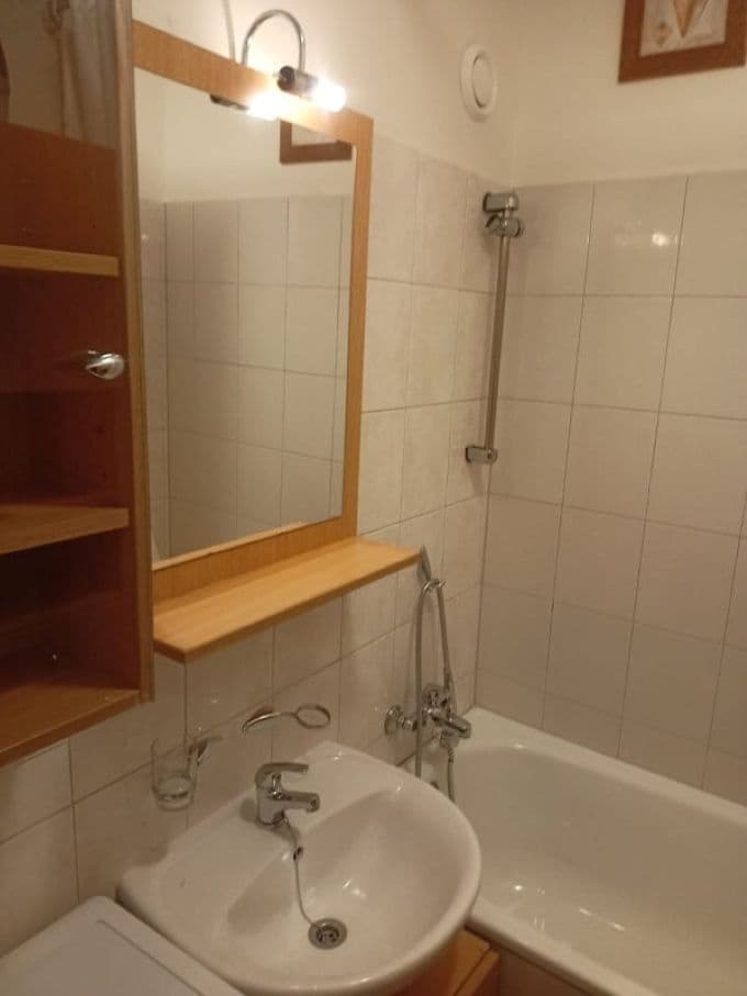 1 bedroom with open-plan kitchen flat to rent, 40 m², Makovského, Prague, Prague 1 bedroom with open-plan kitchen flat to rent, 40 m², Makovského, Prague, Prague